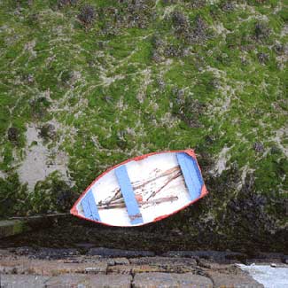 Boat with Seaweed